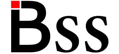 BSS Power 