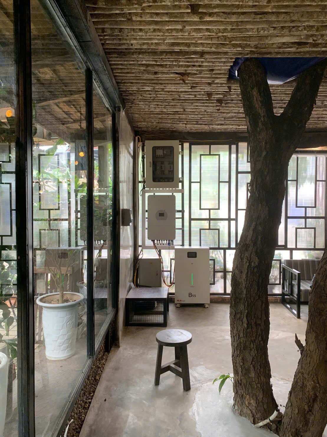 Ảnh thực tế