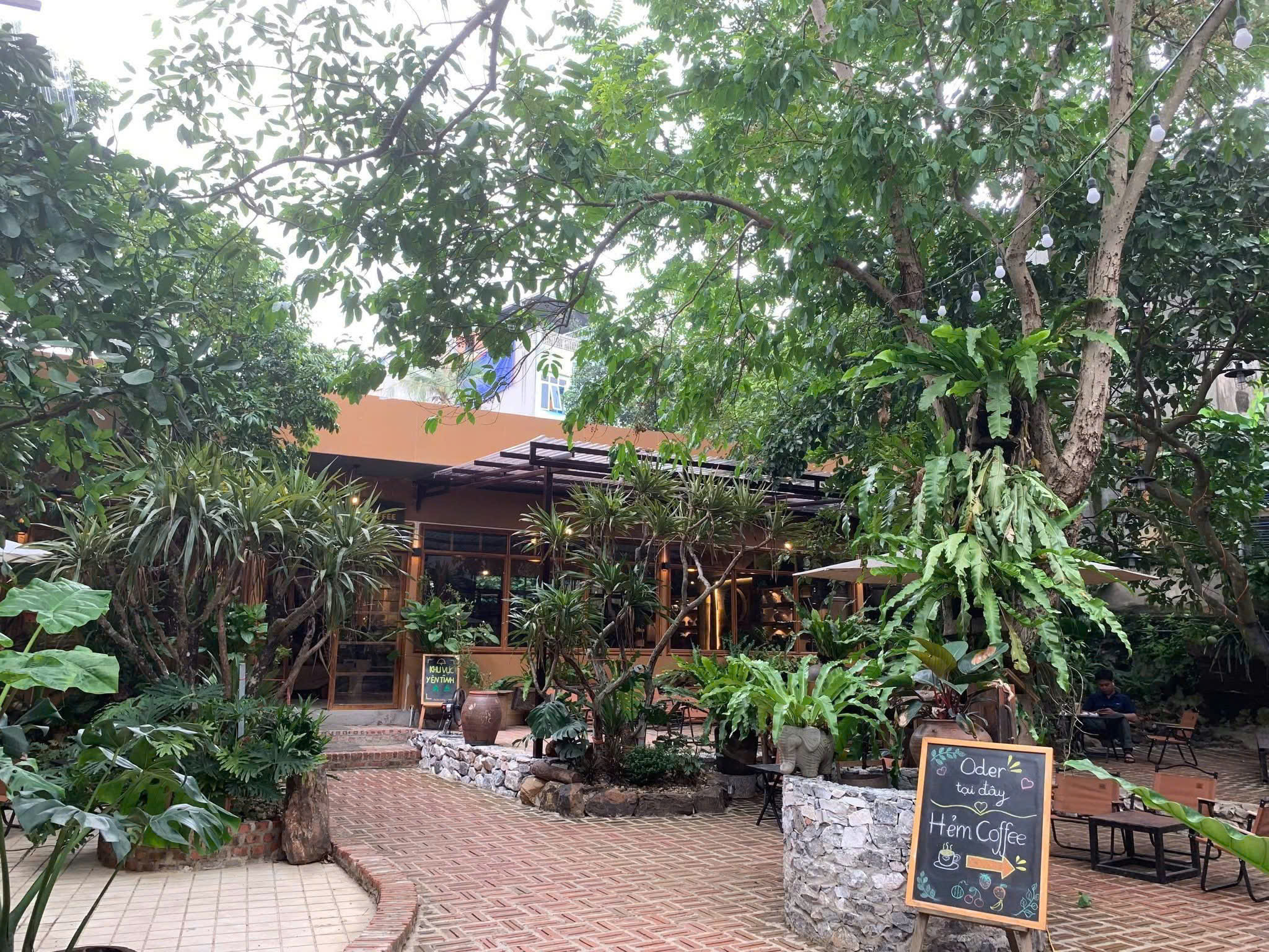 Ảnh thực tế
